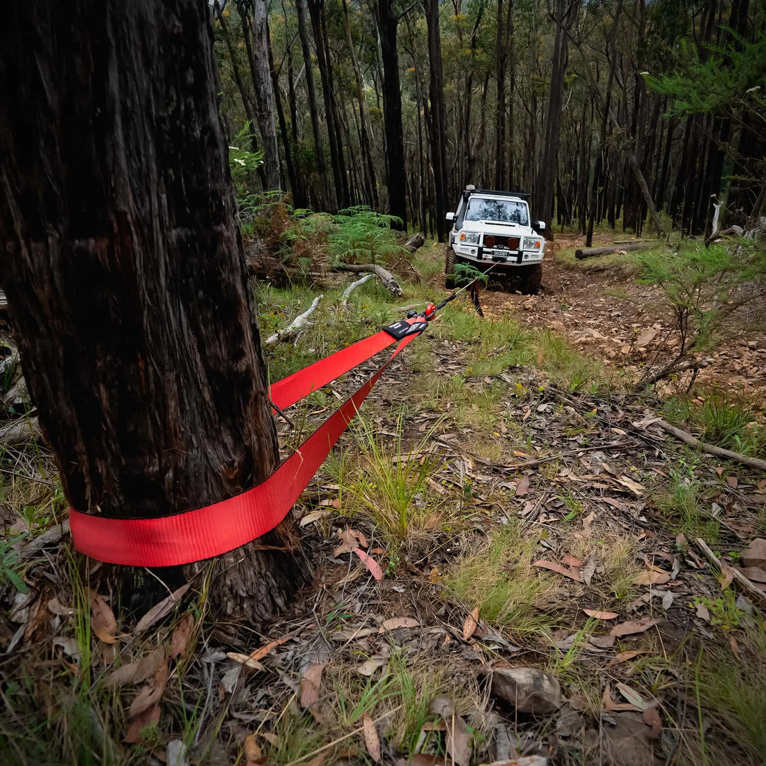 SABER TREE SAVER 13,000KG