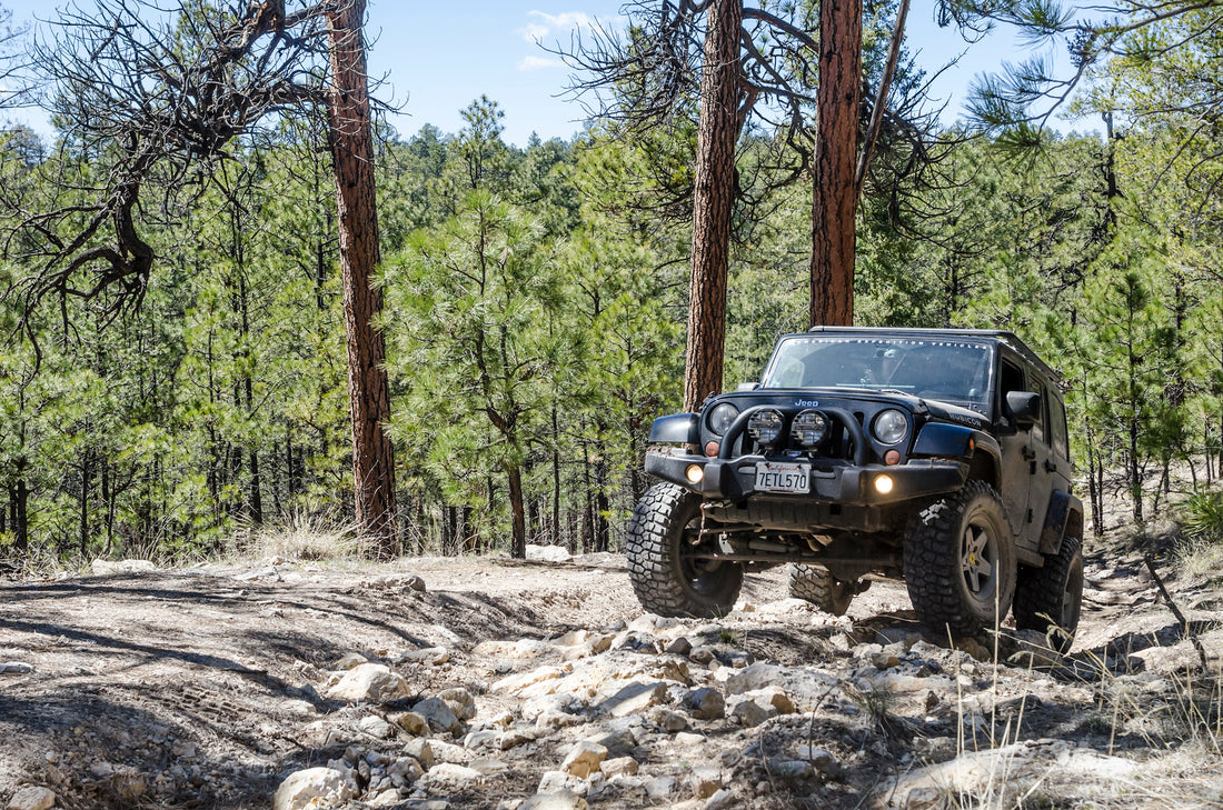 AEV 2.5" JK 2dr DualSport Suspension